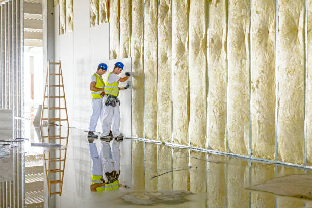 Best Spray Foam Insulation in Lansdowne, VA
